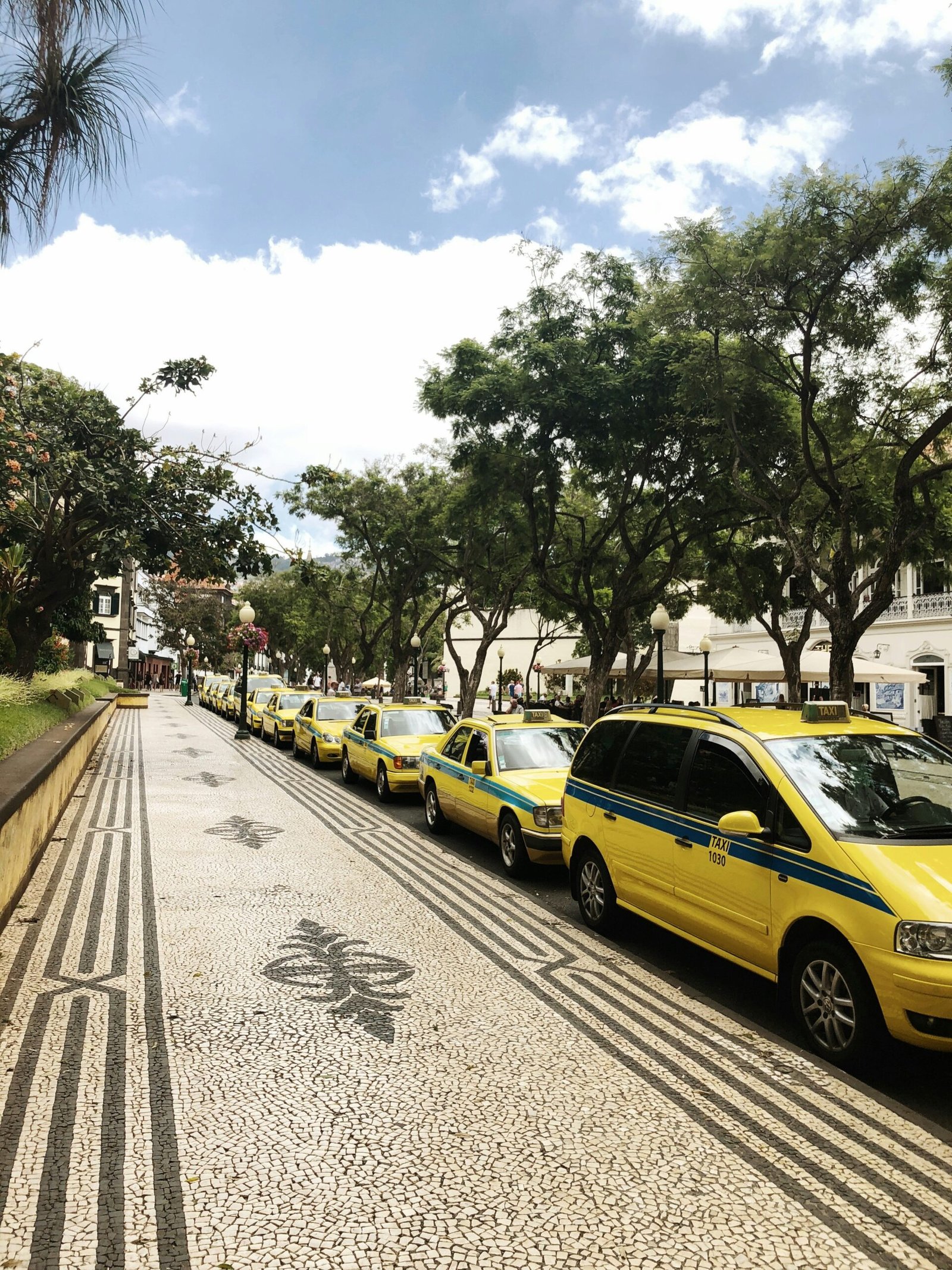 Transportation Costs in Brazil