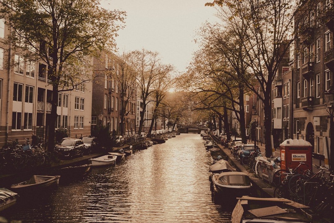 The Dutch Visa Americans Don’t Know About