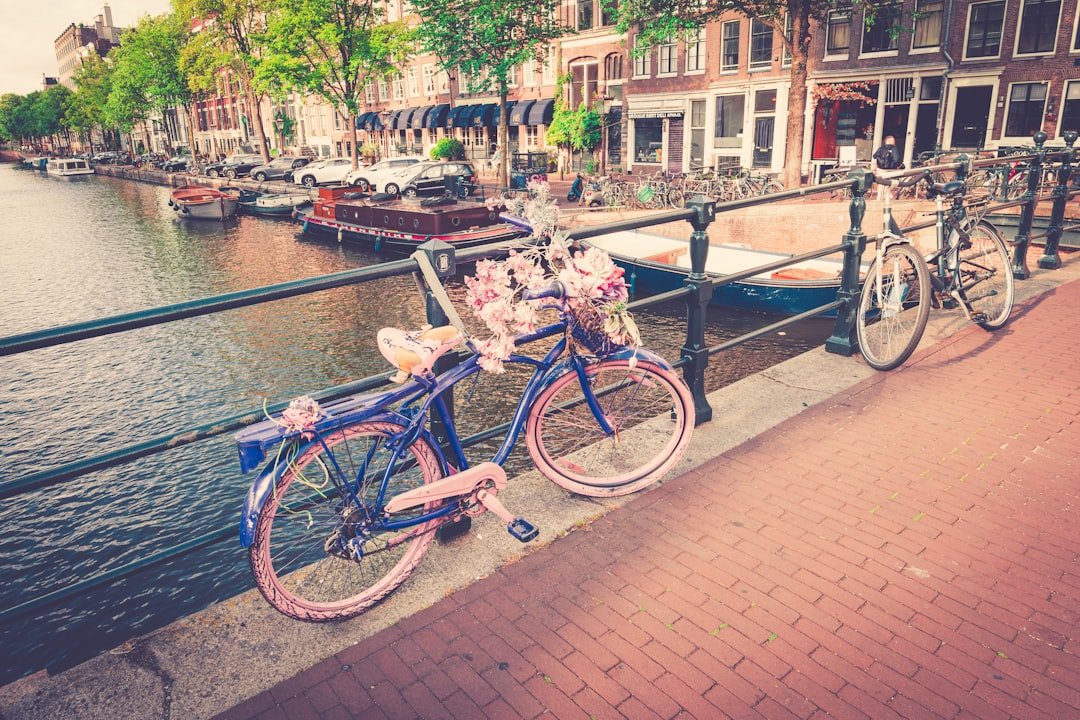 Bicycles parked along a Dutch canal, DAFT visa Netherlands lifestyle