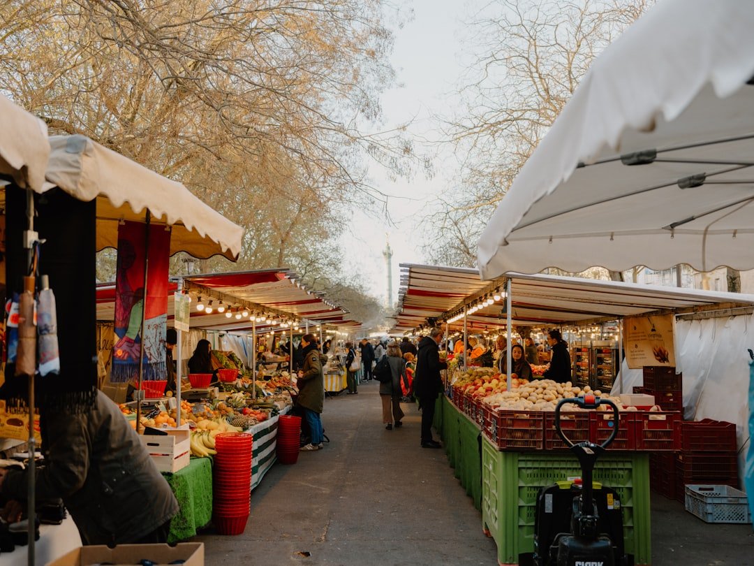 French healthcare system outdoor market in France daily life
