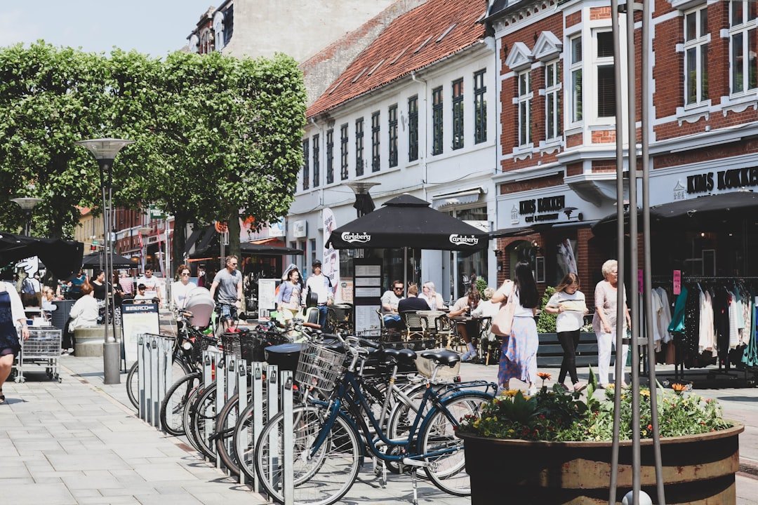 Expat life in Denmark - Copenhagen cycling commuters on bike lane