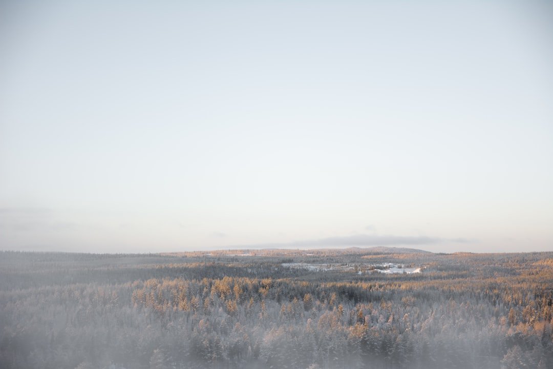 Finnish Lapland during polar night kaamos darkness - expat life in Finland